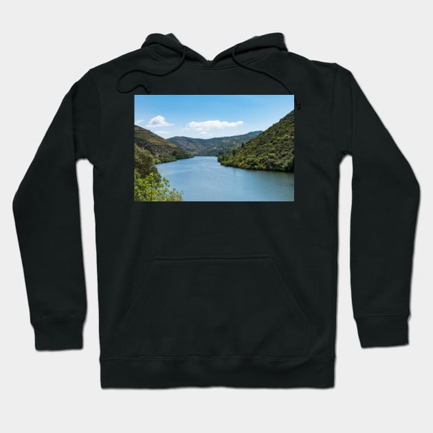 Point of view shot of terraced vineyards in Douro Valley Hoodie by homydesign